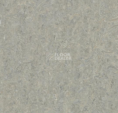 Линолеум Forbo Marmoleum Decibel on Order 580235 alpine mist фото 1 | FLOORDEALER